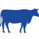 畜牧业（大牛和小牛）